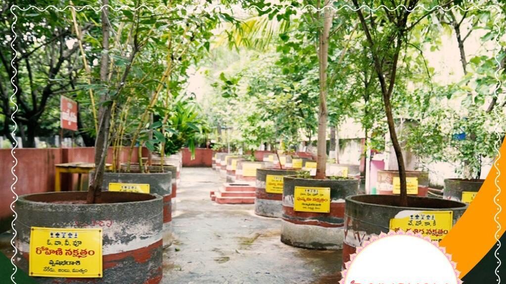 Nakshtra Vruksha Gosala